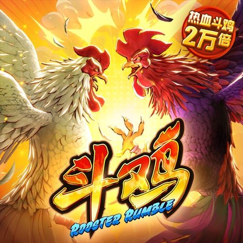 娱乐星空下载app最新版